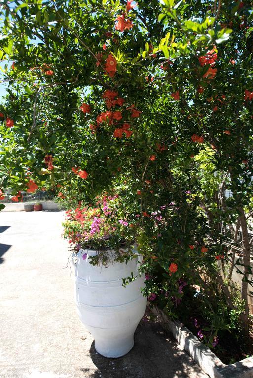 Kissamos Luxurious House Guest House Bilik gambar